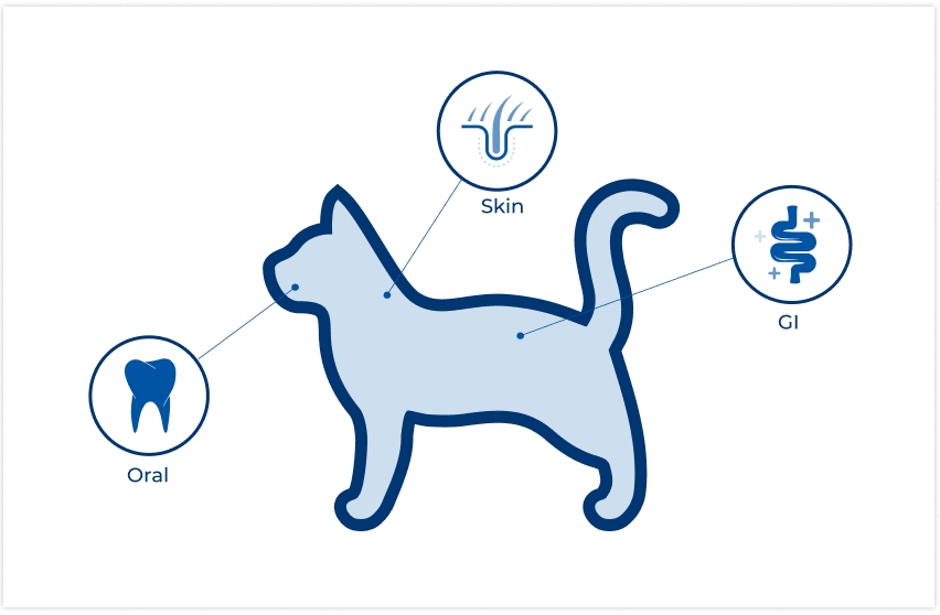 location of microbiomes on cat