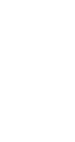 Paw prints