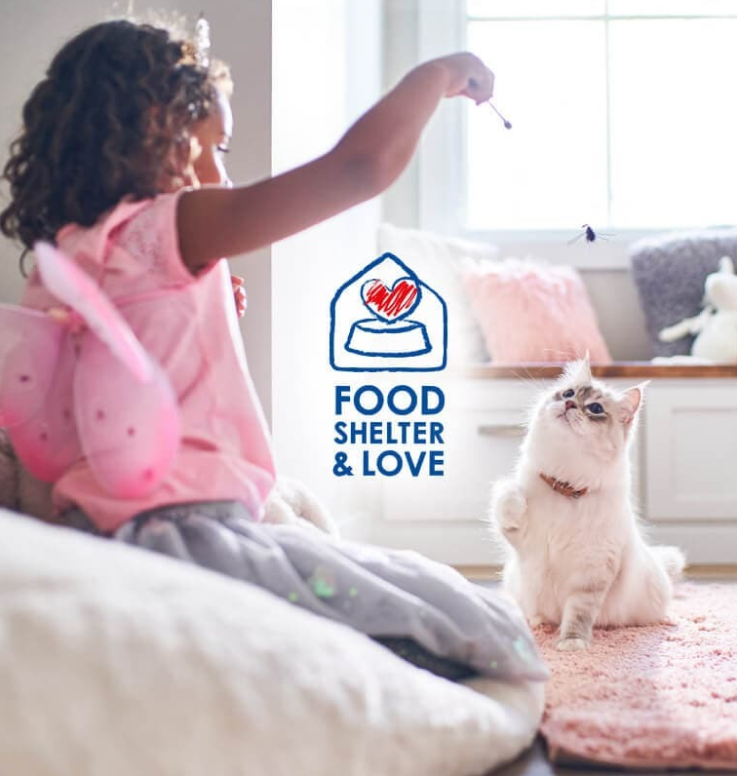 Młoda dziewczyna daje smakołyki swojemu białemu futrzanemu kotu