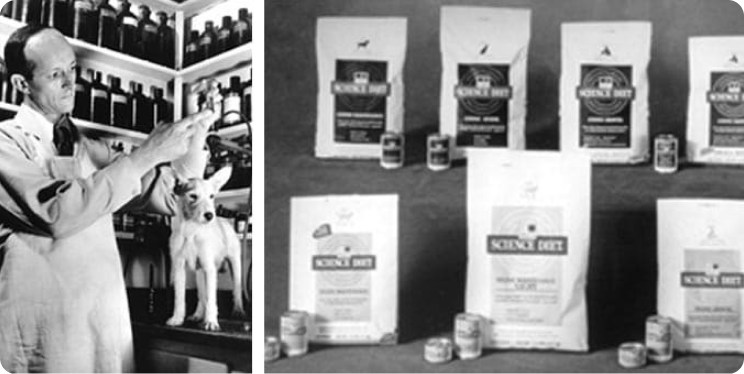 Dr Mark Morris Junior pracujący z pupilem