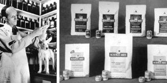 Dr Mark Morris Junior pracujący z pupilem