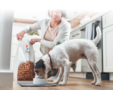 Pies jedzący karmę Hill's